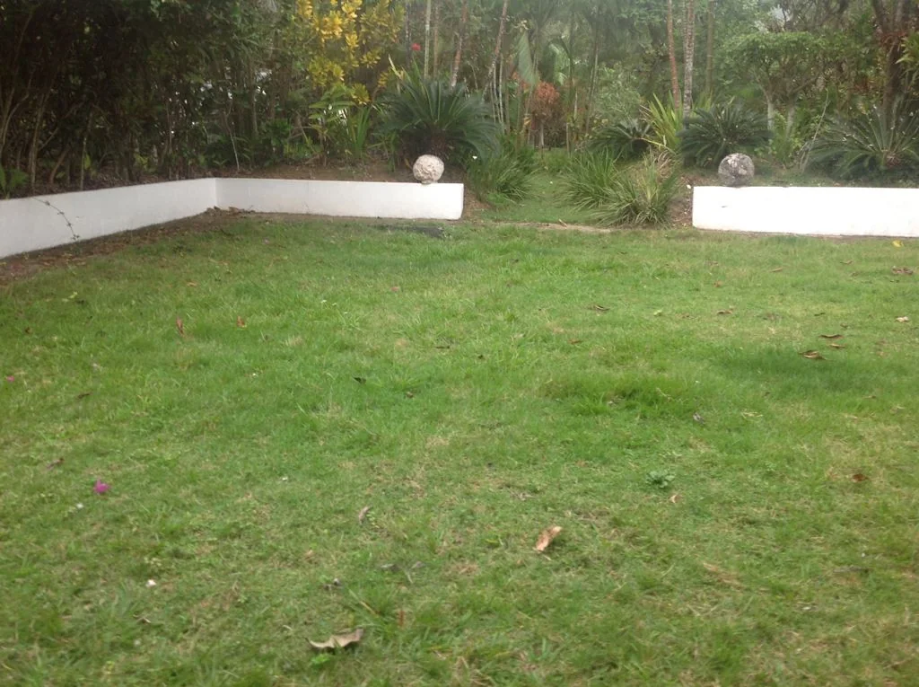 Finca con casa campestre en Pedro Brand - foto 4