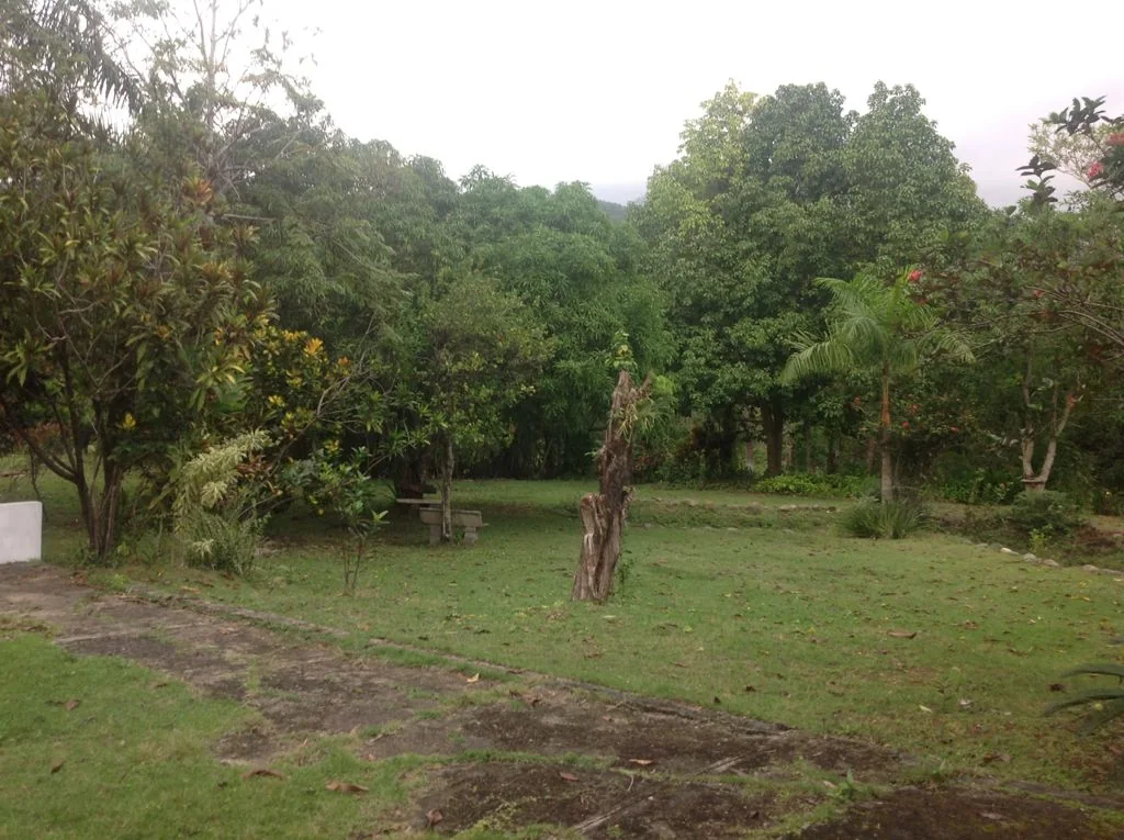 Finca con casa campestre en Pedro Brand - foto 5