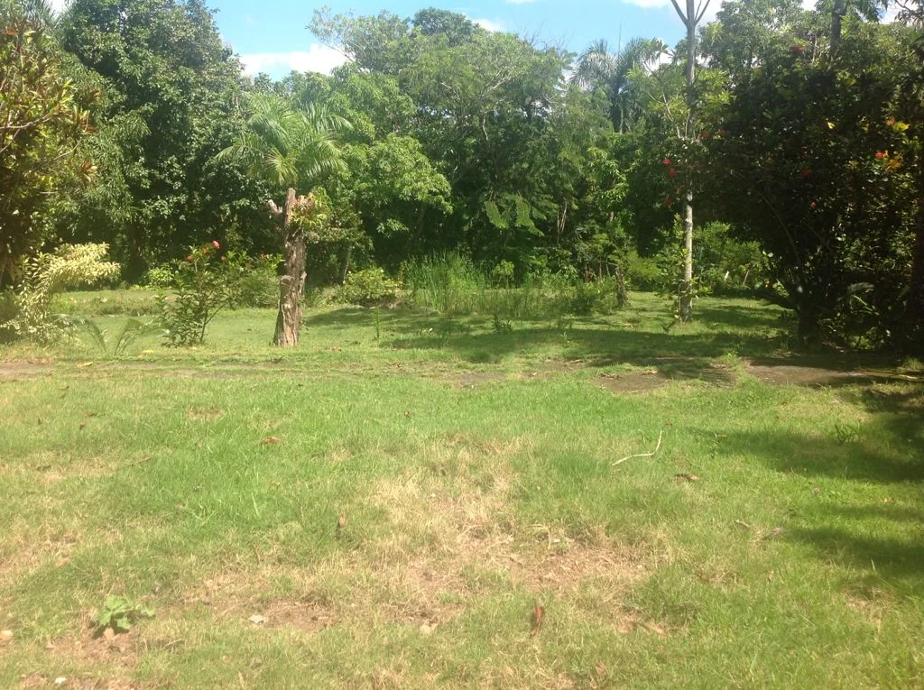 Finca con casa campestre en Pedro Brand - foto 11