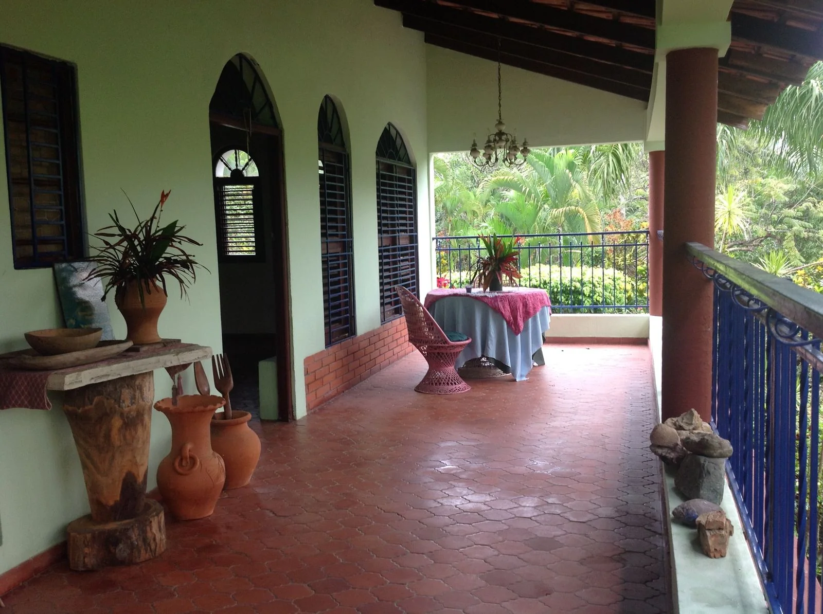 Finca con casa campestre en Pedro Brand - foto 18