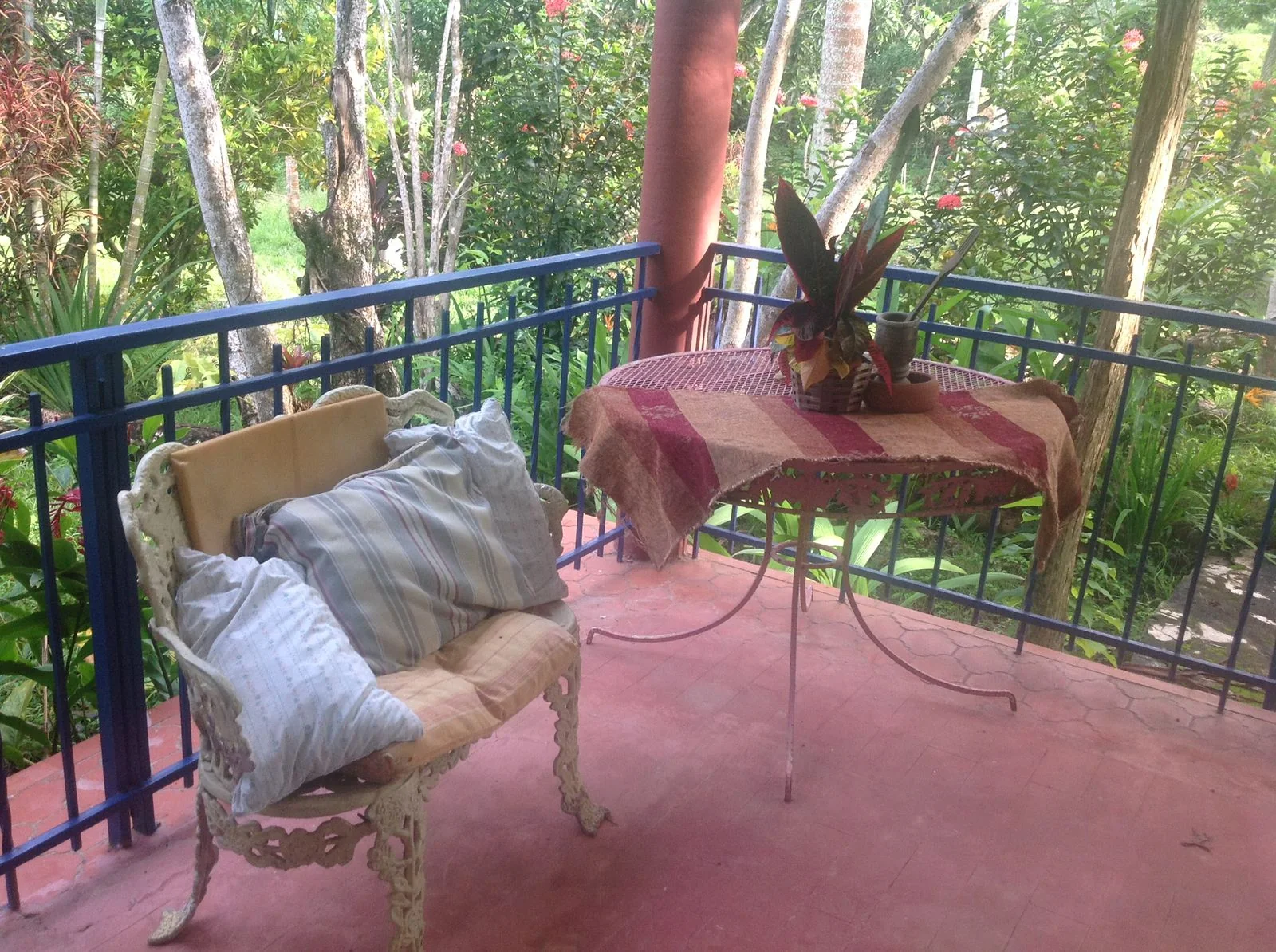 Finca con casa campestre en Pedro Brand - foto 19